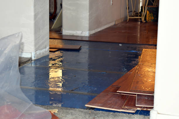 Professional Flood Cleanup technician working in Morley, MI
