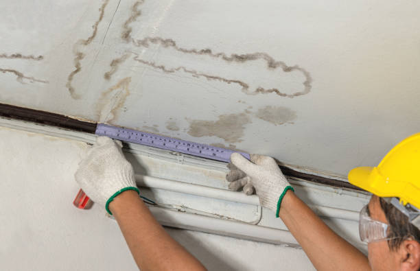 Reliable Flood Cleanup contractor in Morley, MI by Water Damage Irwin